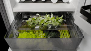 Billede af urter i BORA Cool køleskab